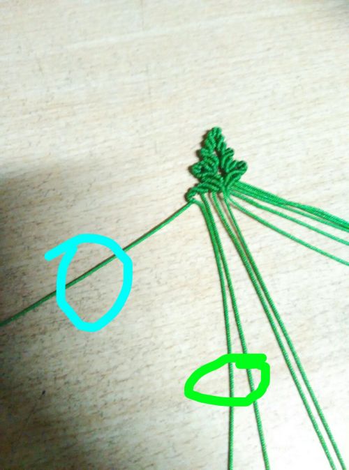 适合做书签的树叶,梧桐树叶书签自制