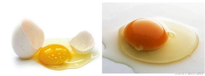 如何判断鸡蛋是公鸡蛋还是母鸡蛋,怎样挑鸡蛋的好坏
