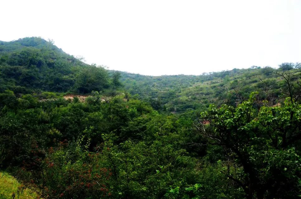 淄川区太河镇池板村近况,不可错过的绝美古村落石潭村