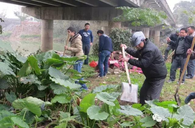 钦州市党代会报告,钦州市召开第六次党代会
