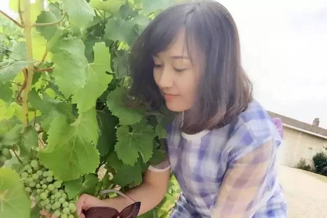 一个公司最重要岗位就是前台,一个公司前台主要学什么