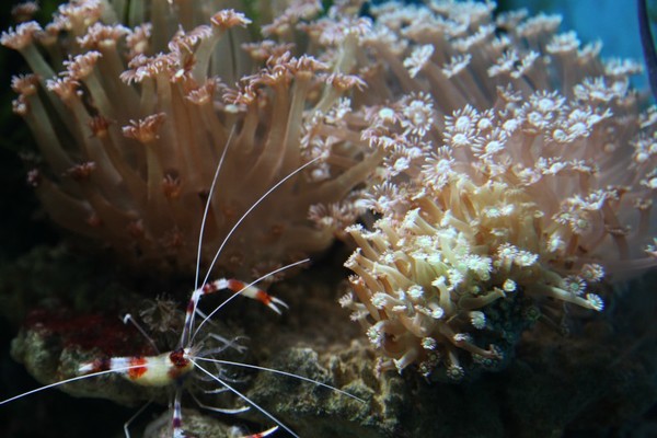 去大连必须做的6件事,去大连一定要做的事