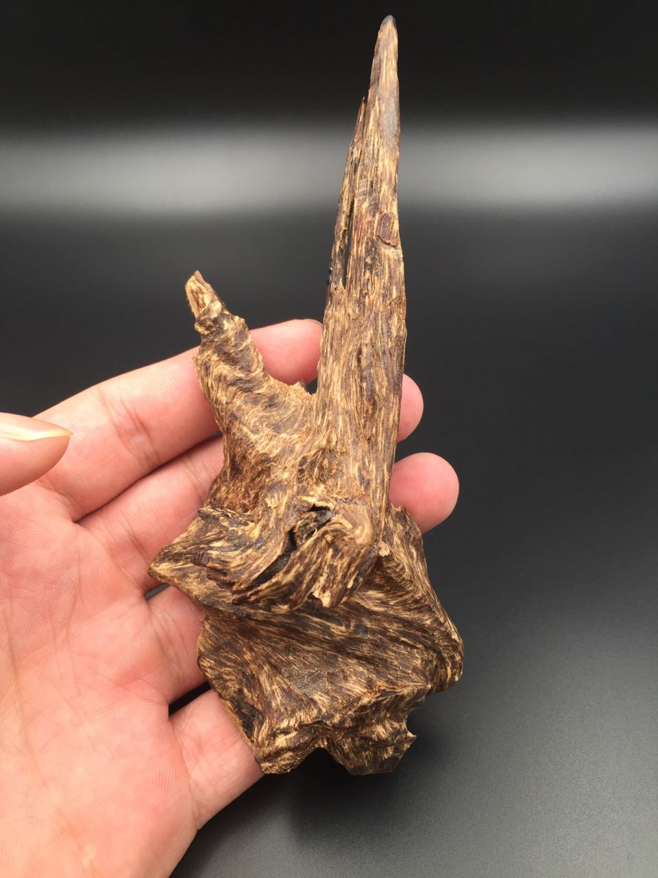 沉香盘香知识,耕云堂沉香棋楠馆