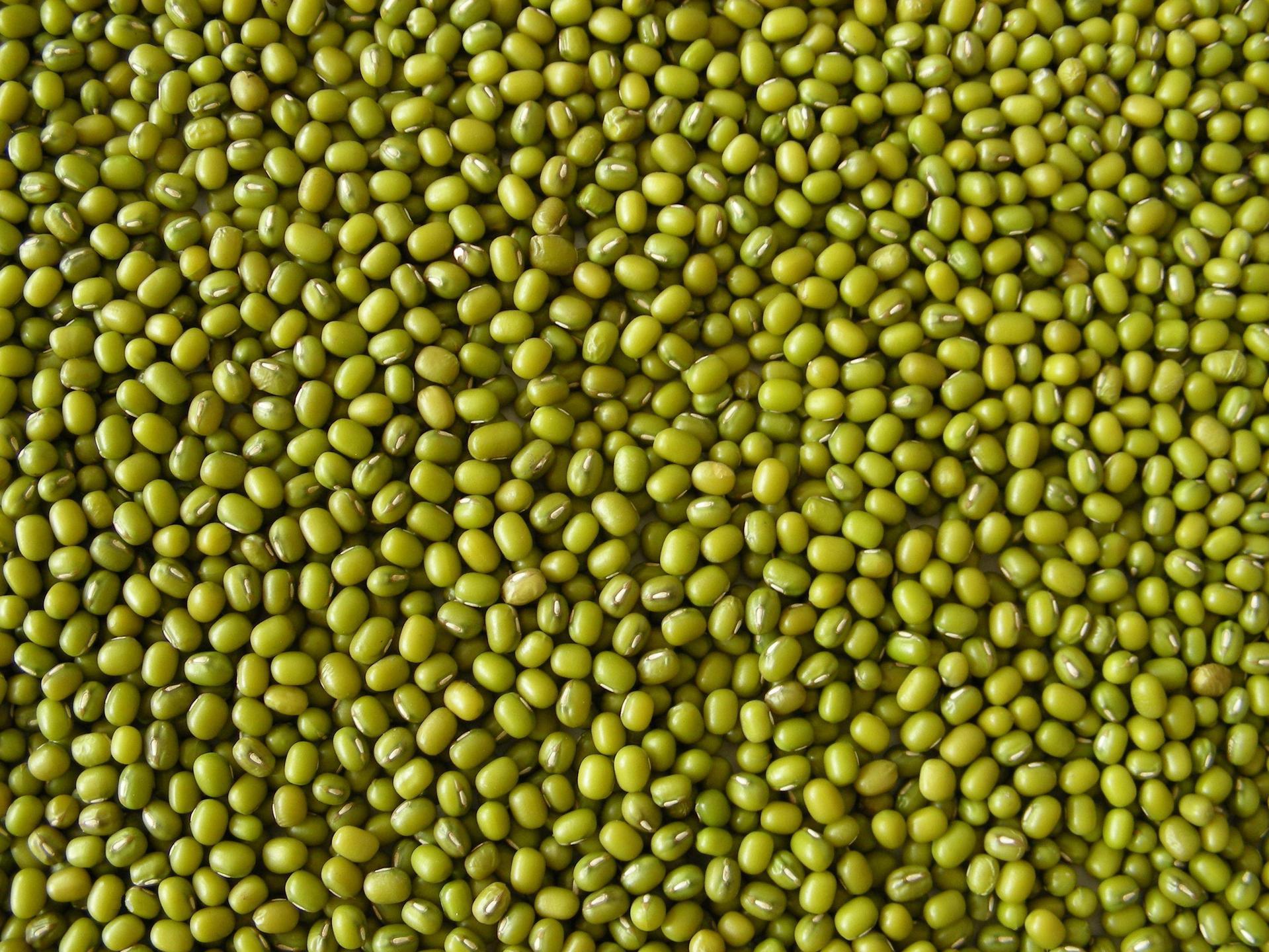 绿豆面膜肌肤水感清爽,绿豆面膜适合痘痘皮肤