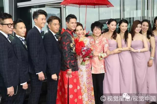 马浚伟杨怡金猪,杨怡金猪