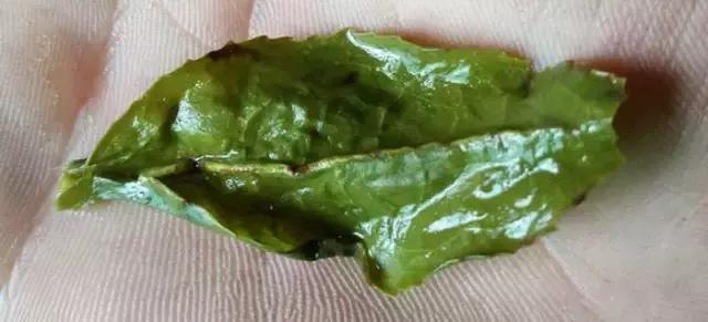 铁观音茶苦涩怎么回事,铁观音味道发涩是怎么回事