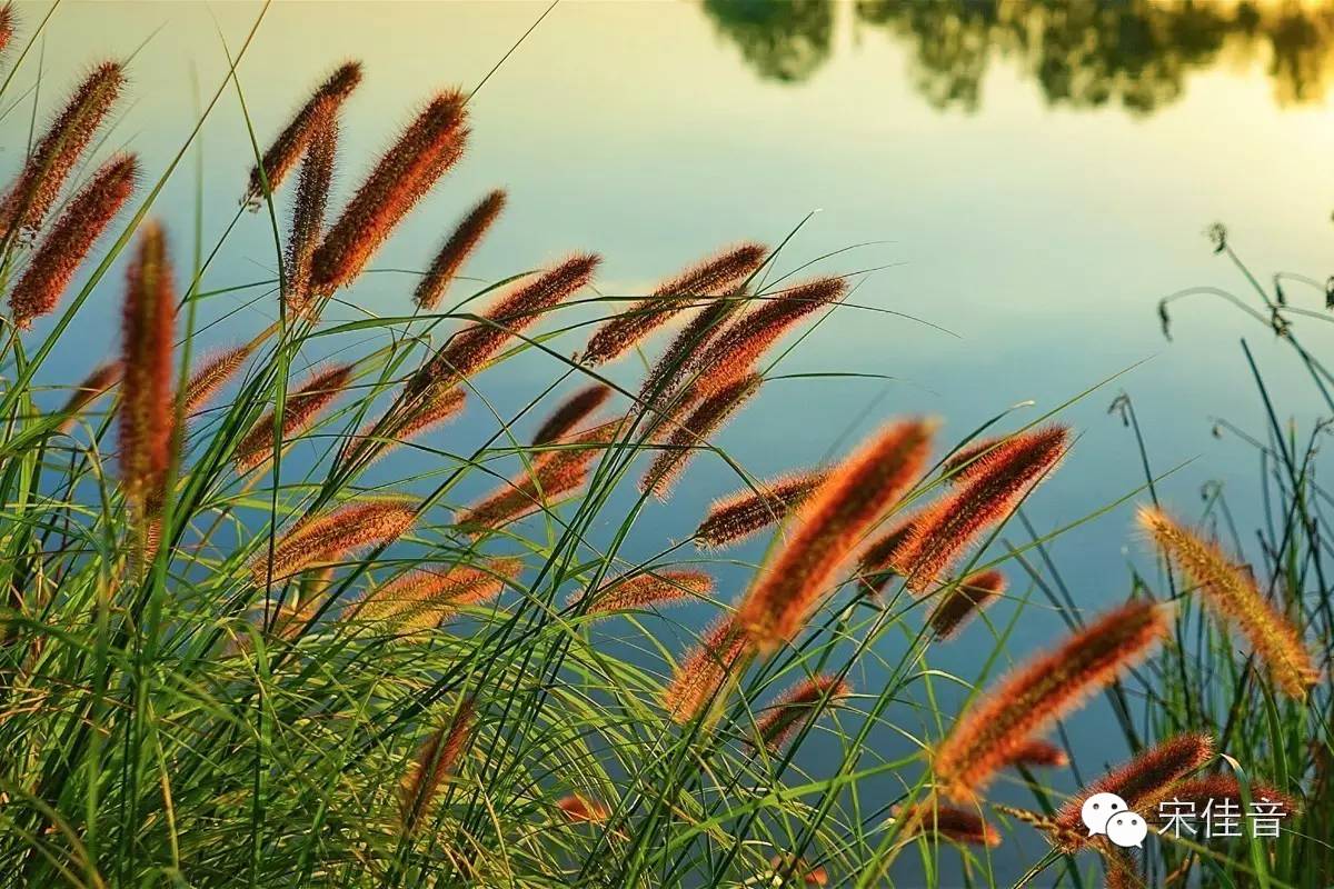 比故宫大3倍景色堪比颐和园,比御花园好看无数倍的皇家园林