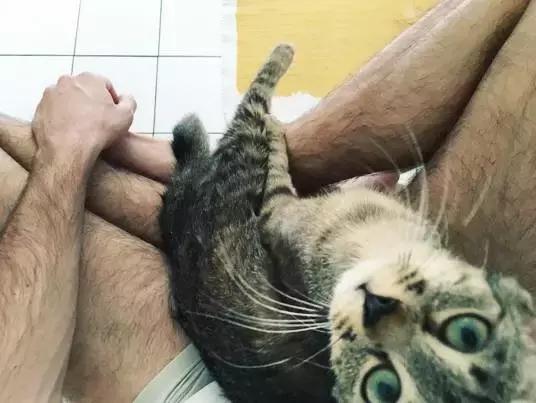 听说养猫的人很有福气吗,听说养猫的男生更容易脱单