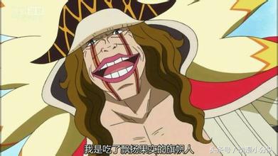 海贼王超人系果实排行,海贼王超人系最强的几个恶魔果实