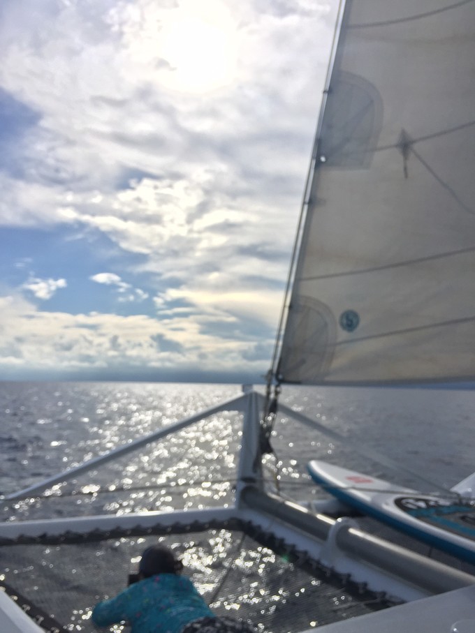 菲律宾潜水游记 (回忆菲律宾潜水的时光)