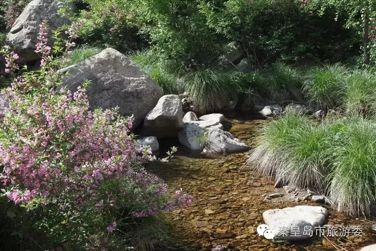 秦皇岛的秋景,河北秦皇岛风景秋季