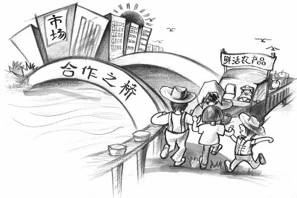 农民加入合作社后可以退出吗,农村成立合作社个人怎么办