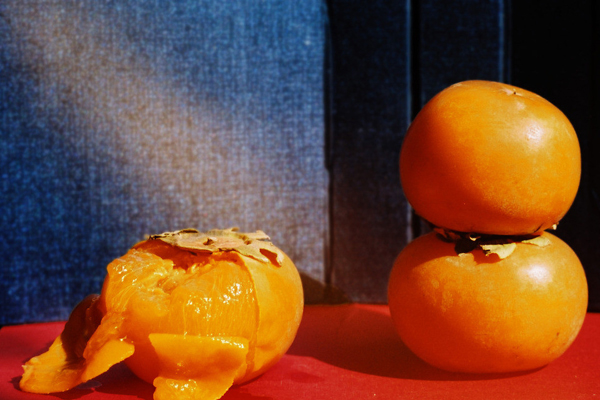 有什么办法可以治感冒引起的鼻塞,鼻塞不通气吃药能治愈吗