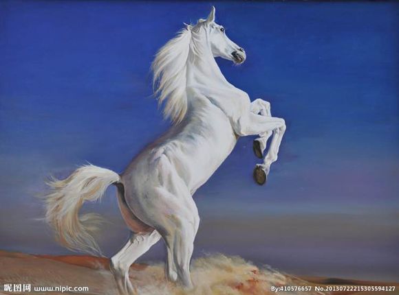 有哪些很多人不知道的冷知识,10个冷知识你知道什么