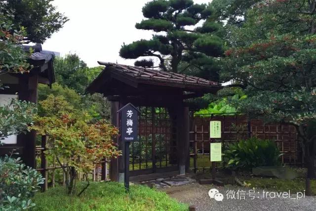 来东京值得做的事,除了逛商场还能去哪里玩啊