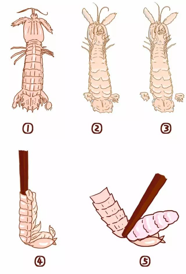 皮皮虾这样处理吃起来不扎嘴,皮皮虾扎了一下怎么处理