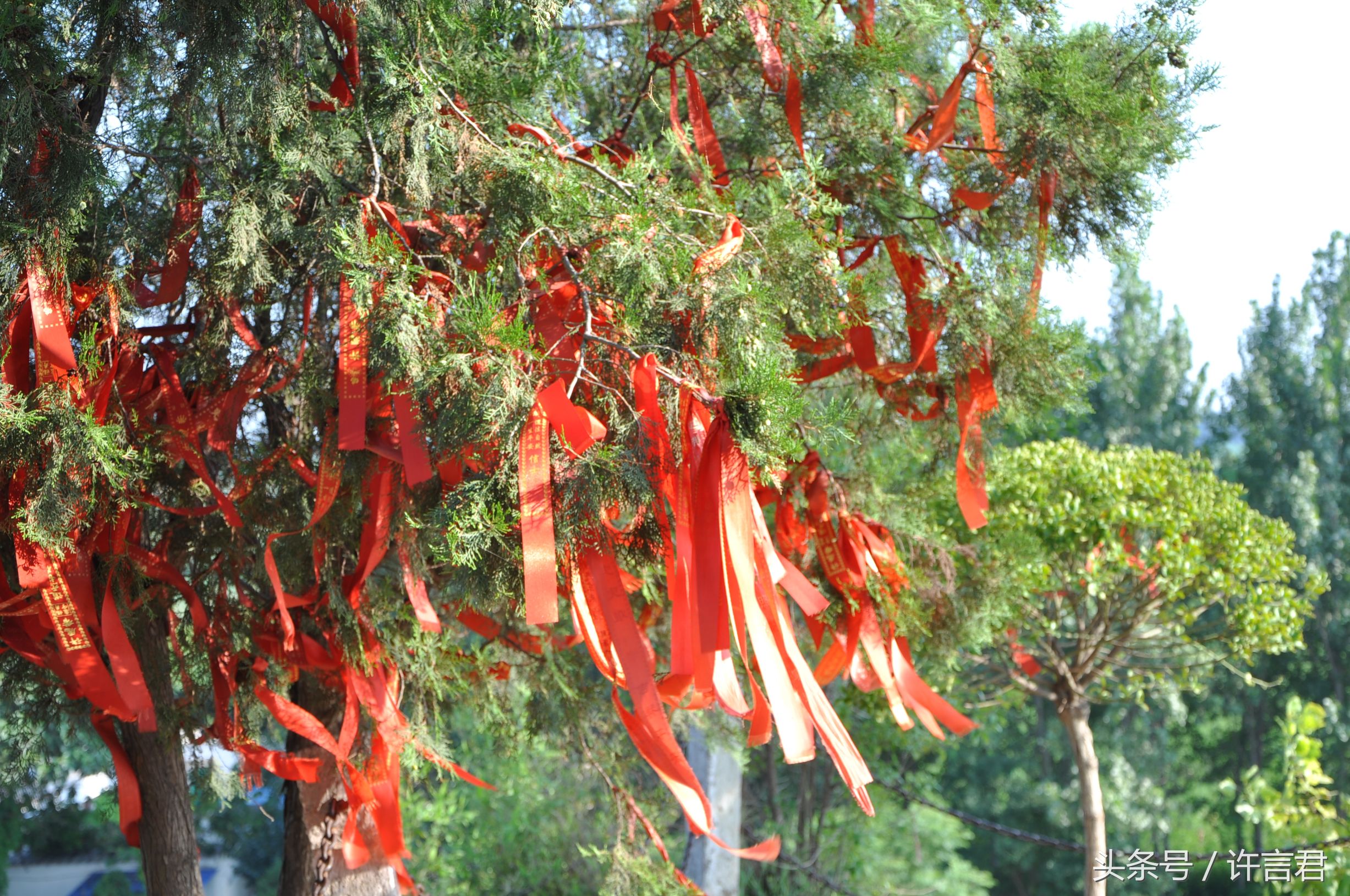 毓秀台在许昌啥地方,毓秀台是做什么的