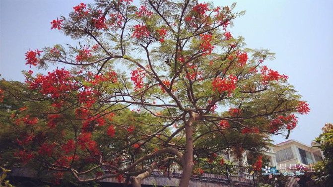 期待了好久的厦门之旅,蓝色的厦门