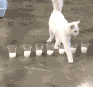 新希望牛乳和光明牛乳哪个好,朝日牛奶哪个系列好