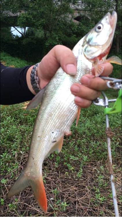 为什么野钓更舒服,为什么野钓要钓底