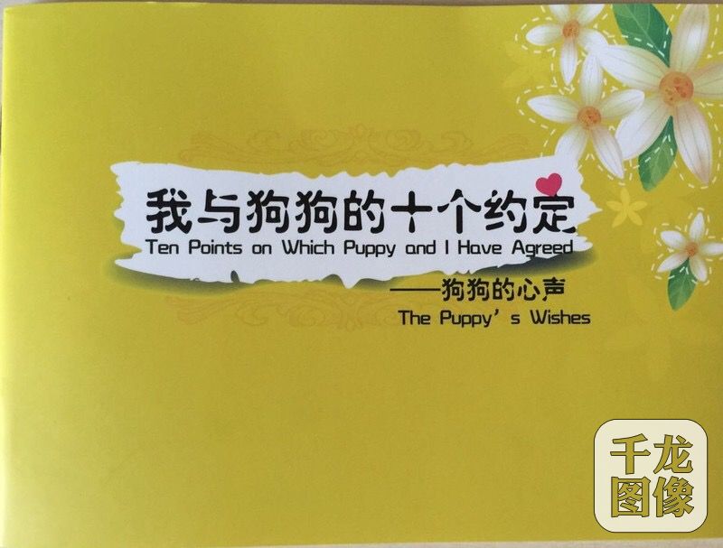 17年只为打造吸尘狗的一根筋:檀冲