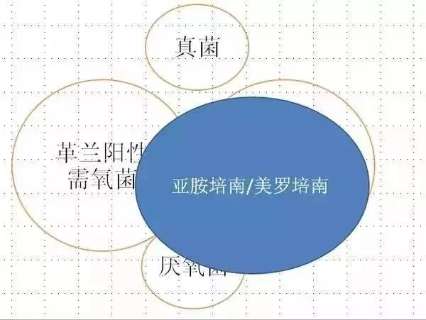 「简单粗暴」最简单明了的抗生素图解！
