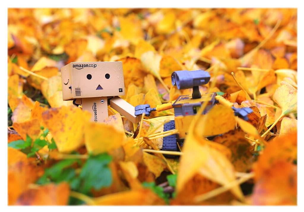 中国秋天最美的十个地方,秋天最美的旅游地点