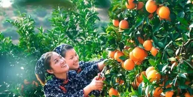 江西10.1小众自驾游路线推荐,江西最好的10条自驾游线路