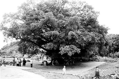 国庆美食一日游,国庆旅游各地美食推荐