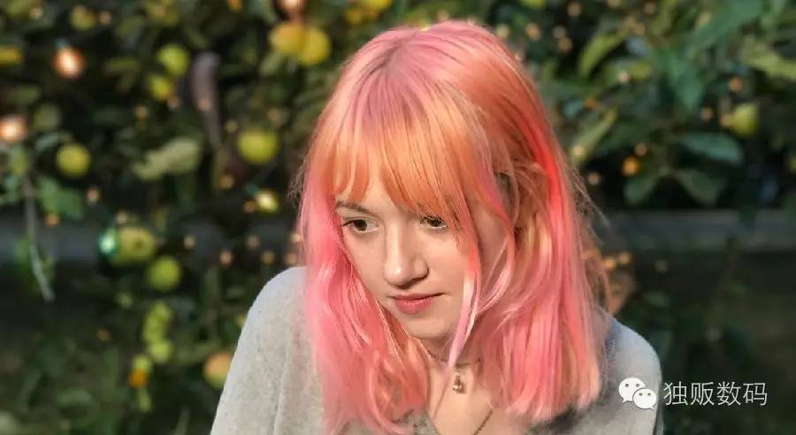 iphonexsmax拍照景深,苹果手机拍照景深效果怎么调