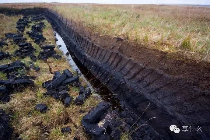 爱喝单麦威士忌和鸡尾酒的人，在这里都找到了归宿