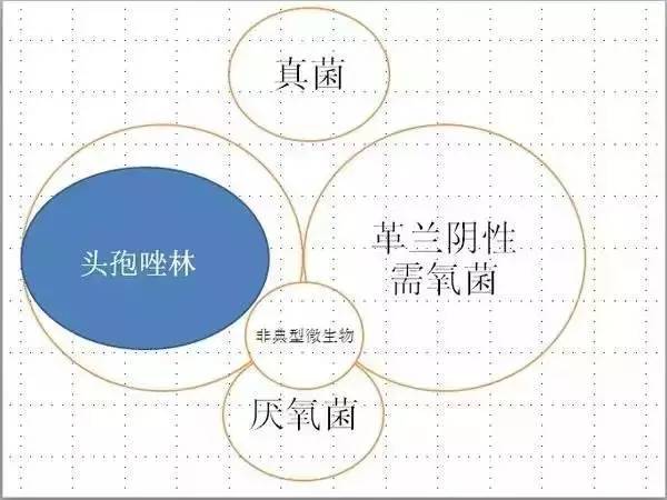 「简单粗暴」最简单明了的抗生素图解！