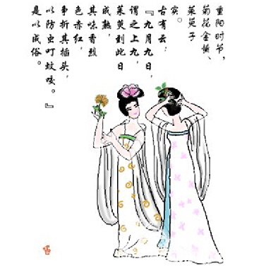 九九重阳节来了这些传统习俗你都知道吗?