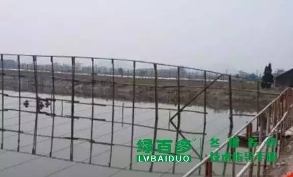 珠三角目前是冬棚虾养殖关键时期,掌握这几点冬棚养虾才能成功