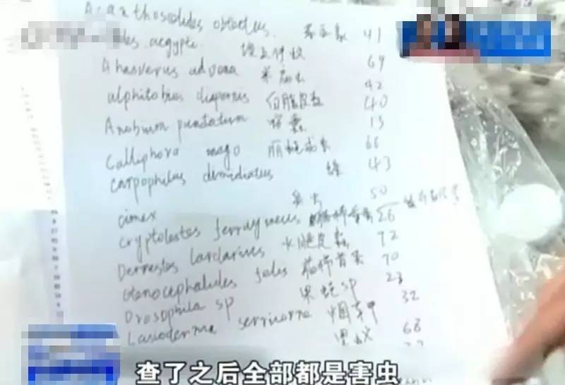 我嘞个去！这是啥嗜好？！一人“海淘”数千只害虫被截获（胆小勿进！密恐勿进！）