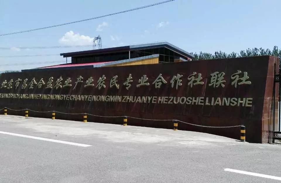 昌平区农业示范园采摘苹果,北京昌平苹果最佳采摘期