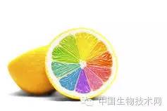 补充维生素能改善不良饮食状况吗？