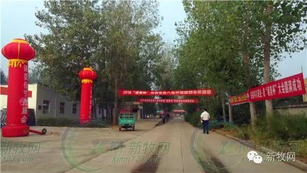 河南养猪业巨头,河南养猪身价百倍