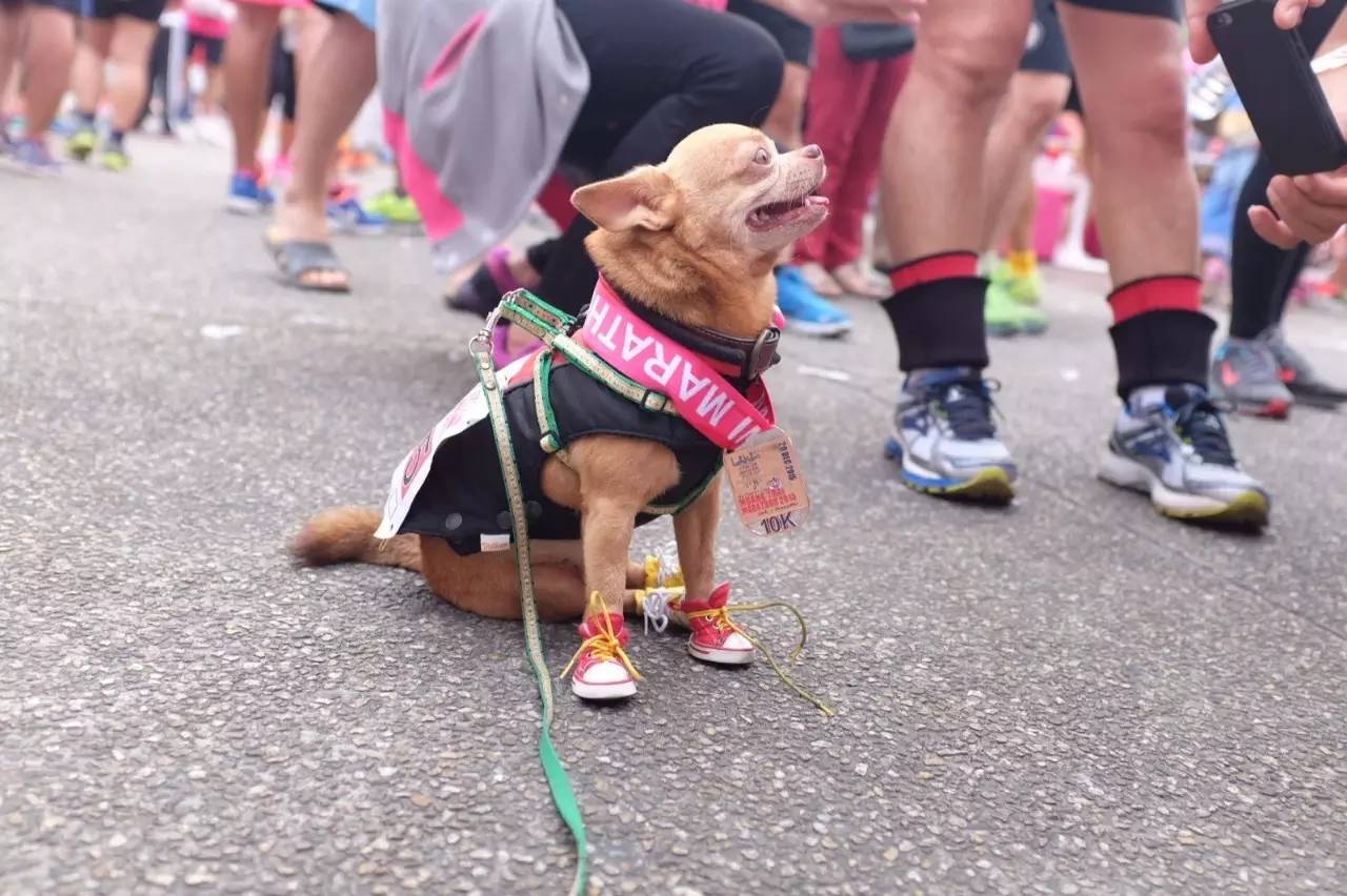 去跑马岭需要带什么东西,去跑马场骑马注意事项