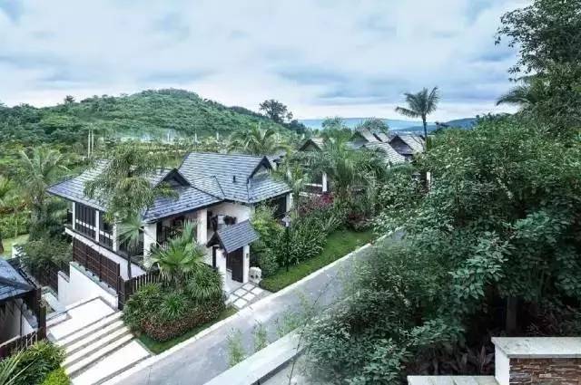 就在今天:索菲特、温德姆、万怡、花间堂,四大品牌五家高端酒店同步登场,你最想体验哪一家?!