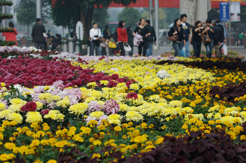 重庆五一小长假旅游推荐 (重庆国庆3天古镇游)