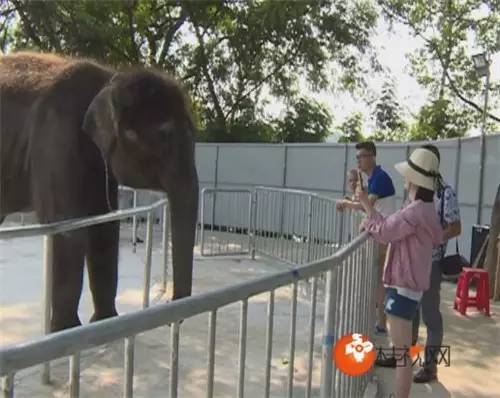 桂林4-5天旅游攻略,十一国庆桂林自由行攻略