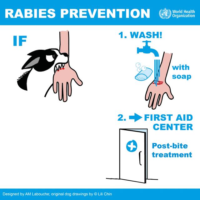 被狗咬预防方法,被狗咬了国际处理法