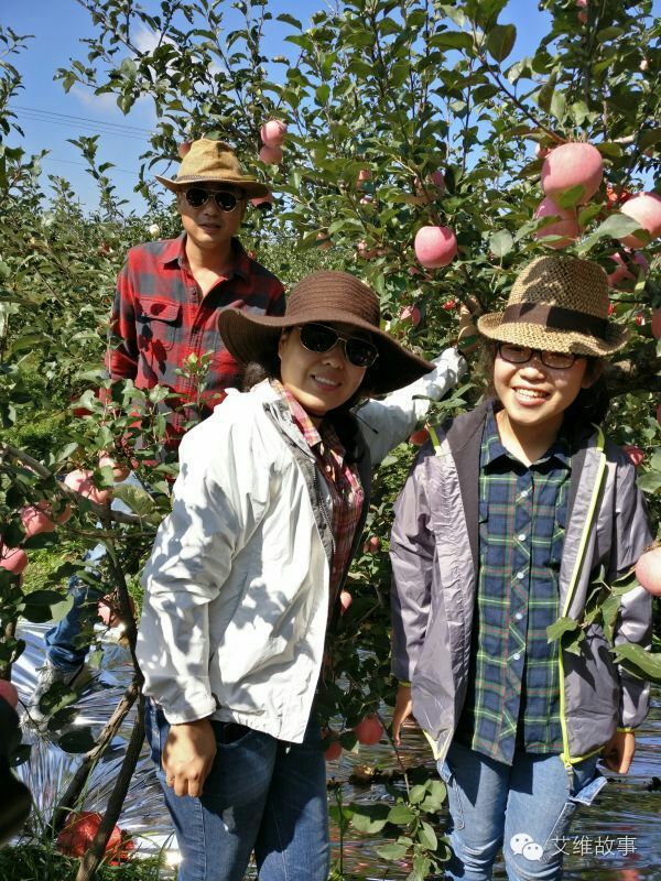 艾维wwoofer之：希望的曙光，为你为我