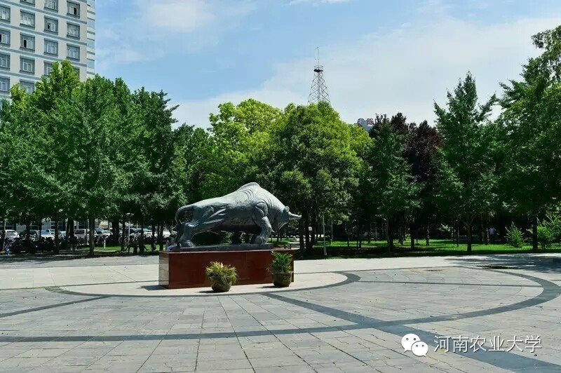 特别策划三分钟过后，农大小石榴马上开挂成老鸟！