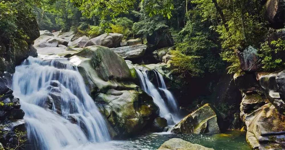 广西榜样,广西优秀的学习榜样