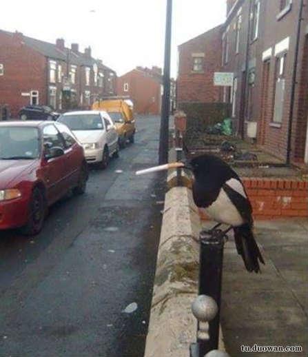 今天还是一如既往的冷！每日轻松一刻1月24日周日版