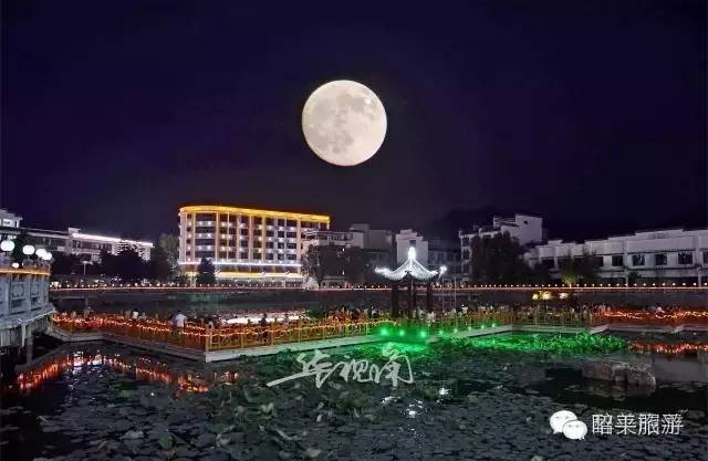 龙舟赛游江攻略,珠江龙舟赛游玩攻略