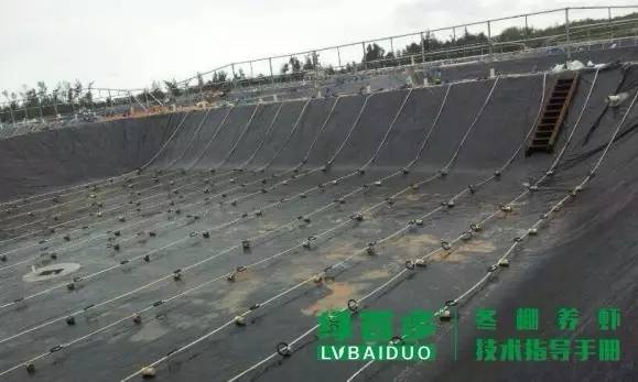 珠三角目前是冬棚虾养殖关键时期,掌握这几点冬棚养虾才能成功