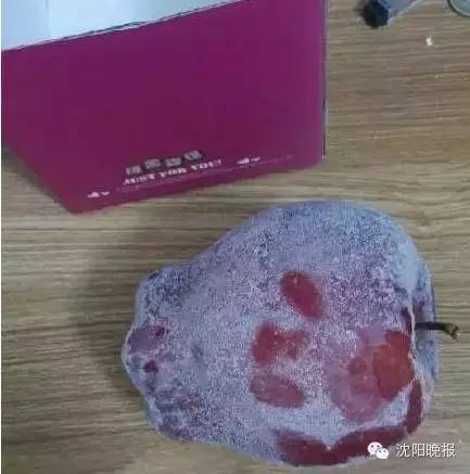 乌龟还能救过来吗,奄奄一息的小乌龟还有救吗